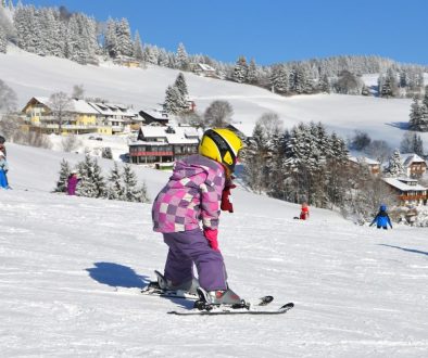 children departure ski lessons 3167589